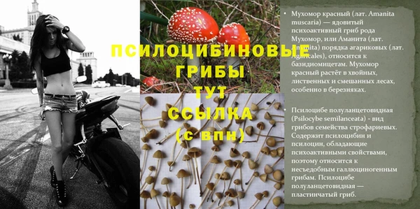 мяу мяу кристалл Ладушкин