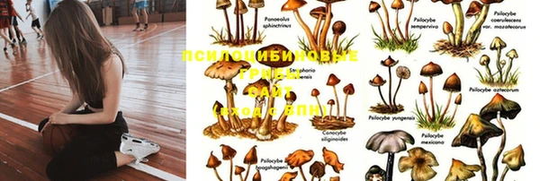 бошки Куйбышев